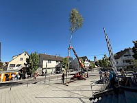 Maibaumfest 2026